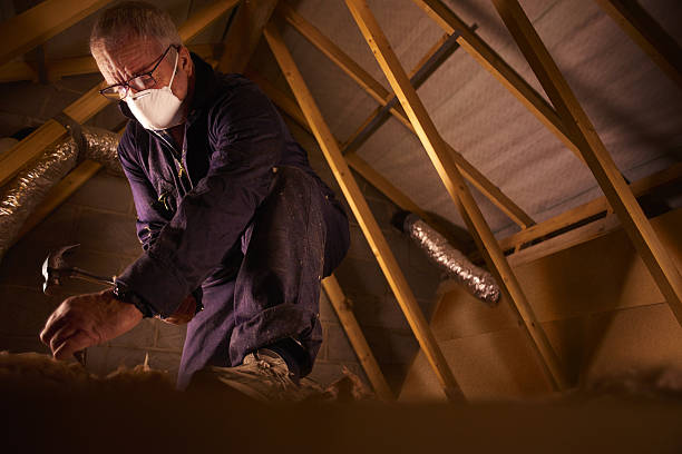 Best Insulation Installation Services in Archbold, OH